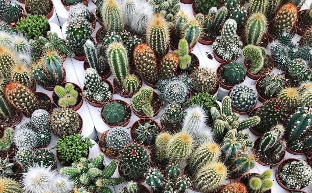 Ahorra agua con estos consejos o ideas