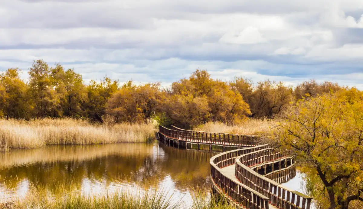 Parque Nacional de las Tablas de Daimiel