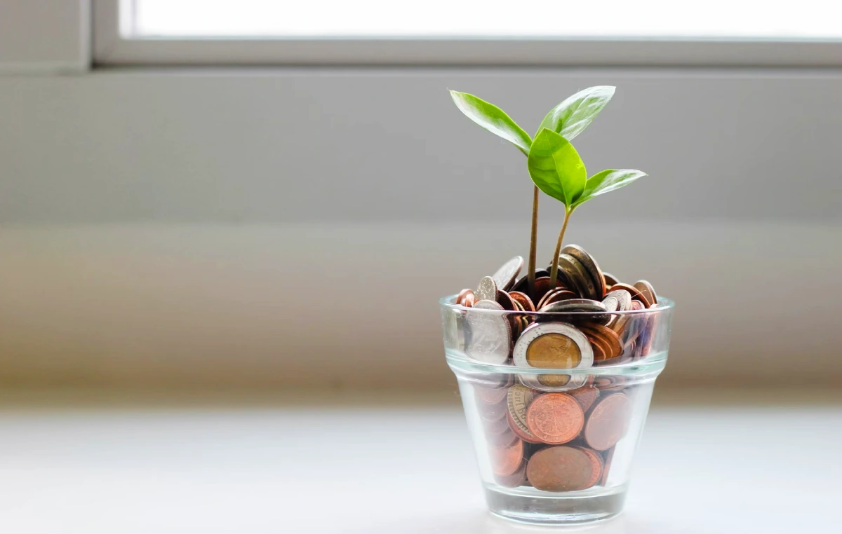 Significado de la frugalidad