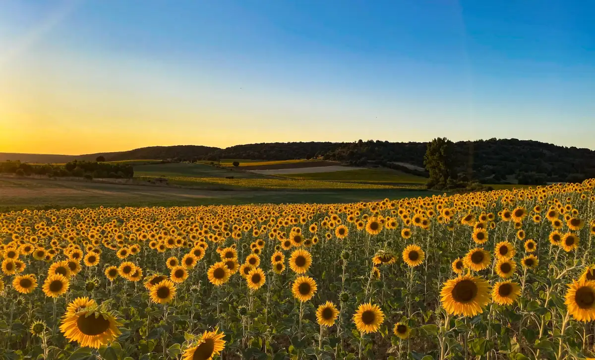 Un finde en el campo por menos de 300 € - campos de Soria